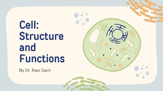 NEET NCERT Biology Plastids and Ribosomes [upl. by Yoho]