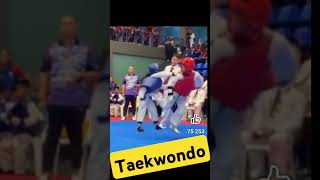 I Spent 30 Days Mastering Taekwondo and It Changed My Life [upl. by Ecinnaj]