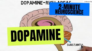 2Minute Neuroscience Dopamine [upl. by Shellans110]