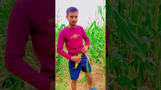 dekh le liya to Hala Kari Le Re thoda Chup Chup Tum Le Le shorts funny trending viral [upl. by Naerda]