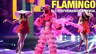 The Masked Singer Flamingo All Clues Performances amp Reveal [upl. by Yejus]