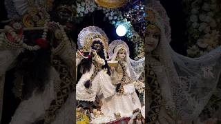 tum intne pyare ho Chand kahe tumse ki tum Chand hare ho radharani bankebehari [upl. by Belford]