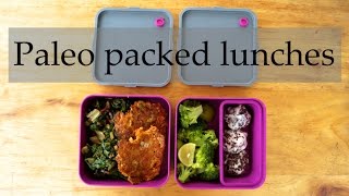 Three Paleo  HFLC packed lunch ideas [upl. by Romalda56]