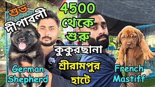 Best Pet Market in Kolkata । Serampore Dog Market । Low Price Puppy Sell in Kolkata [upl. by Oznohpla]