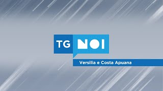 Tg Noi Versilia e Costa Apuana  07082024 [upl. by Idden]