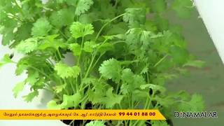 Dinamalar  Hydroponics Farming by Nagendhiren Tamil [upl. by Doro]