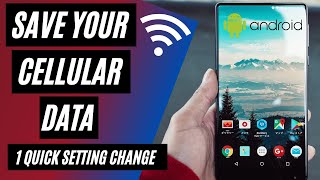 How To Update Apps Over WiFi Only amp Not Cellular Data  Android Google Play [upl. by Hametaf160]