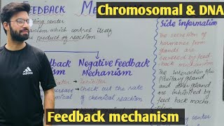 Feedback mechanism biology class 12  Feedback mechanism and controlling system in hindi and urdu [upl. by Eyak]