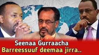 Seenaa Gurraacha oduuafaanoromoo OMN mohaaoromo ethiopianews guyyoowariyo [upl. by Redienhcs25]