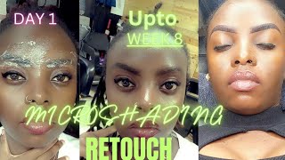 MICROSHADING Eyebrows RETOUCHING After 8WEEKS PROCESS microblading eyebrows microshading [upl. by Yldarb65]