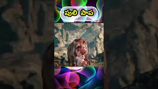 🎥 movie explained Telugu movieexplained telugu [upl. by Gerrard504]