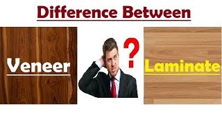 Difference Between Veneer amp Laminate [upl. by Arraes]