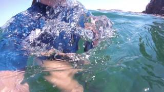 Costa Rica  Snorkeling off Playas del Coco [upl. by Brady480]