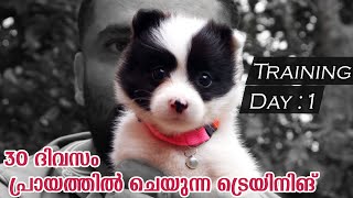 Spitz Puppy first day Training Malayalam  Panda the Spitz [upl. by Male163]