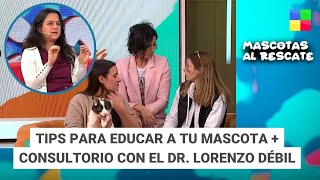 Educar a tu mascota  Dr Lorenzo Débil MascotasAlRescate  Programa completo 15092024 [upl. by Vernor845]