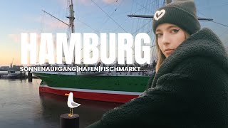 Hamburg IRL  Fischmarkt Sonnenaufgang Hafen [upl. by Aylsworth174]