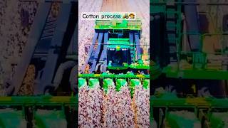 cotton harvesting 🚜 Machine 7760 Cotton Collector harvesting  john Deere cotton gin 7460 7760 [upl. by Birecree709]