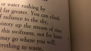 I read The master speed by Robert Frost [upl. by Rosalinda]