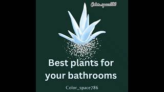 Best Bathroom plants 🤓 airpurifyingplants indoorplants shorts youtubeshorts shortvideo [upl. by Photima197]