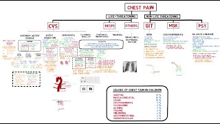 Approach to Chest Pain [upl. by Nibaj]