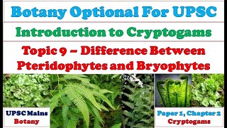 Difference between Pteridophytes and Bryophytes Pteridophytes VS Bryophytes Dissimilarities [upl. by Irehs296]