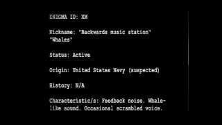 Shortwave Radio Oddity Roundup [upl. by Prentice878]