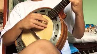 Alexandre Pires  Maluca Pirada cavaco banjo [upl. by Idas362]