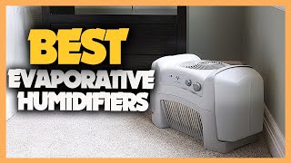 10 Best Evaporative Humidifiers 2023 [upl. by Funda]