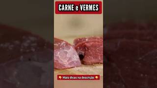 CARNE e VERMES  Cuidado [upl. by Annaerdna]