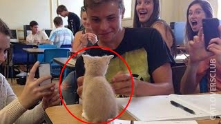 When your cat becomes beloved school mascot Funny Cat and Human 😂 [upl. by Blainey]