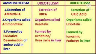 ChExcretory Products and their EliminationshortsModes of ExcretionBiology made simple [upl. by Annirok]