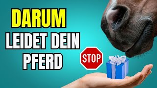 Unbewusste Fehler die deinem Pferd schaden – Hufrehe und andere Folgen verhindern [upl. by Zile]