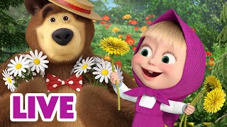 🔴 LIVE Maşa İle Koca Ayı 🌾 Bitkiler ve çiçekler hakkında her şeyi öğrenin 🌻🌱 Masha and the Bear [upl. by Turoff]