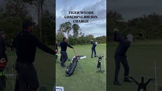 Rate Charlie Woods Golf Swing 😳 tigerwoods charliewoods pgatour [upl. by Lekim]