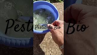 Pesticida Bio🌿🌿🌿🌿 youtubevideo youtubeshorts pesticidi bio [upl. by Irmine]