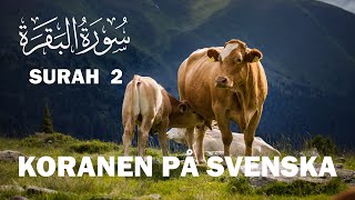 Svenska Koranen  Surah 2 alBaqarah Kon  Med svensk översättning koranenpåsvenska islamse [upl. by Covell]