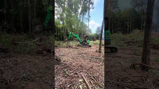 Tree Clearing with a mini Excavator [upl. by Kaufman760]