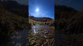 MOUNTAIN LAKEfrom Adamello Natural park Italy nature insta360acepro mountains adventure [upl. by Dahsra]