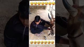 Ek din ka Pradhan mantri 😂😁  shorts funnycomedy comedy video [upl. by Jolie]