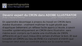 AI  Devenir expert du CMJN dans ADOBE ILLUSTRATOR  Formation longue  1h14  profils CMYK [upl. by Aelyk]