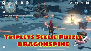 Seelie Puzzle at Dragonspine  Genshin Impact [upl. by Nonregla]