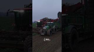 12 Reihen auf einmal😈😎 holmer holmerterrados5 fendt fendt900 hawe wagner rüben [upl. by Budd]