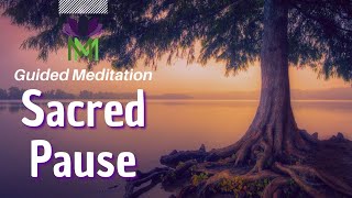 Come into Stillness Meditation for Peace and Stress Relief  Mindful Movement [upl. by Ecilahc118]