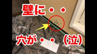 DIY【 壁穴補修 】石膏ボードの張替え下地の補修の仕方 壁穴リペア [upl. by Bible751]