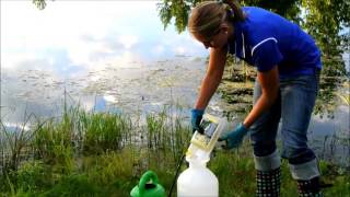 Emerged Aquatic Pond Weed Application [upl. by Brockie]