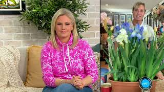 Phillip Watson Designs 3Pc Reblooming German Iris Live Plants on QVC [upl. by Goldberg]