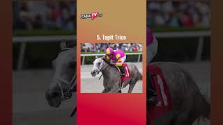 Meet the horses of the 2023 Kentucky Derby Shorts KentuckyDerby [upl. by Ateuqram]