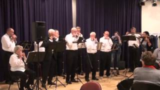 Mondharmonica Festival Helmond 2014 compilatie [upl. by Ahtilat]