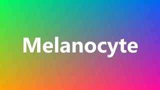 Melanocyte  Medical Definition and Pronunciation [upl. by Yeldua]