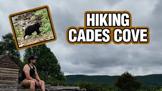 Hiking Cades Cove when vehicles are banned Bears [upl. by Kalle]